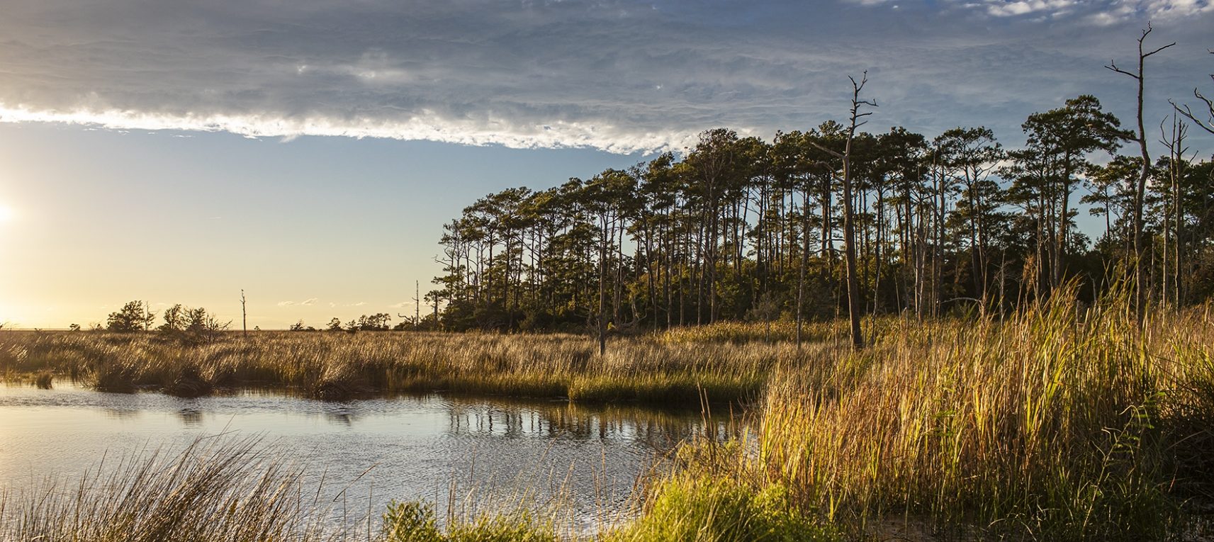 Southern Coastal Charm